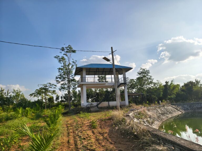 WhatsApp Image 2025-11-01 at 5.20.00 PM