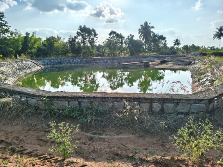 WhatsApp Image 2025-11-01 at 5.20.03 PM