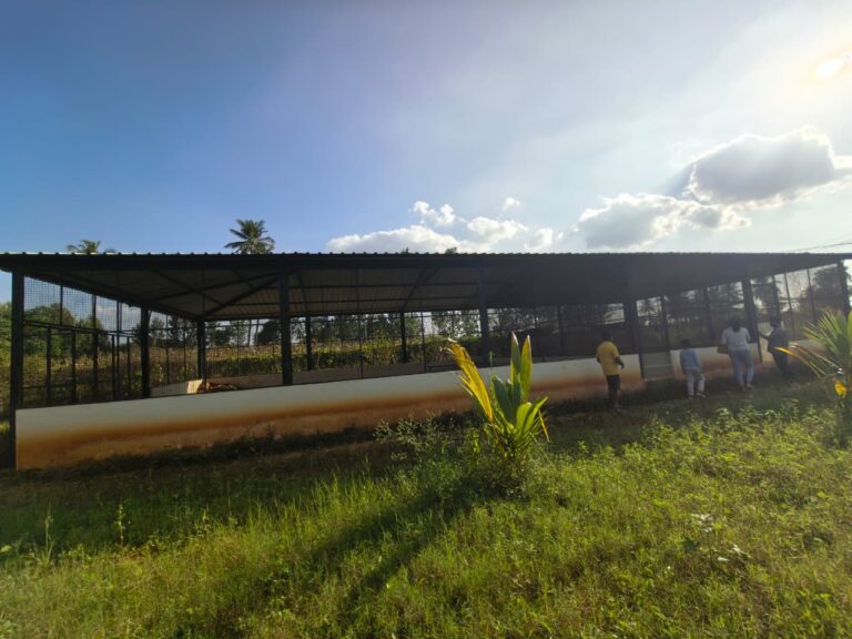 WhatsApp Image 2025-11-01 at 5.20.12 PM (2)